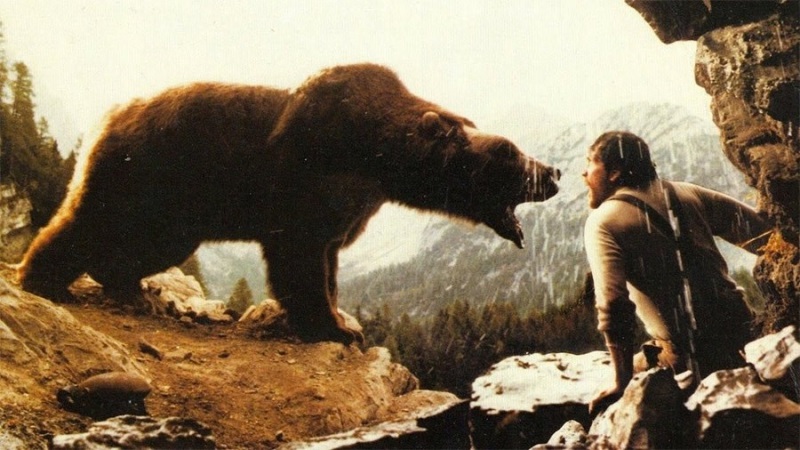 The Bear Movie