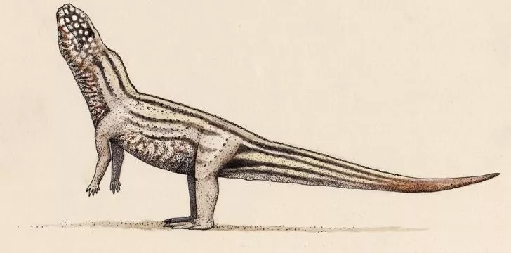 O ilustrație vivaron care arată ca un șarpe dinozaur